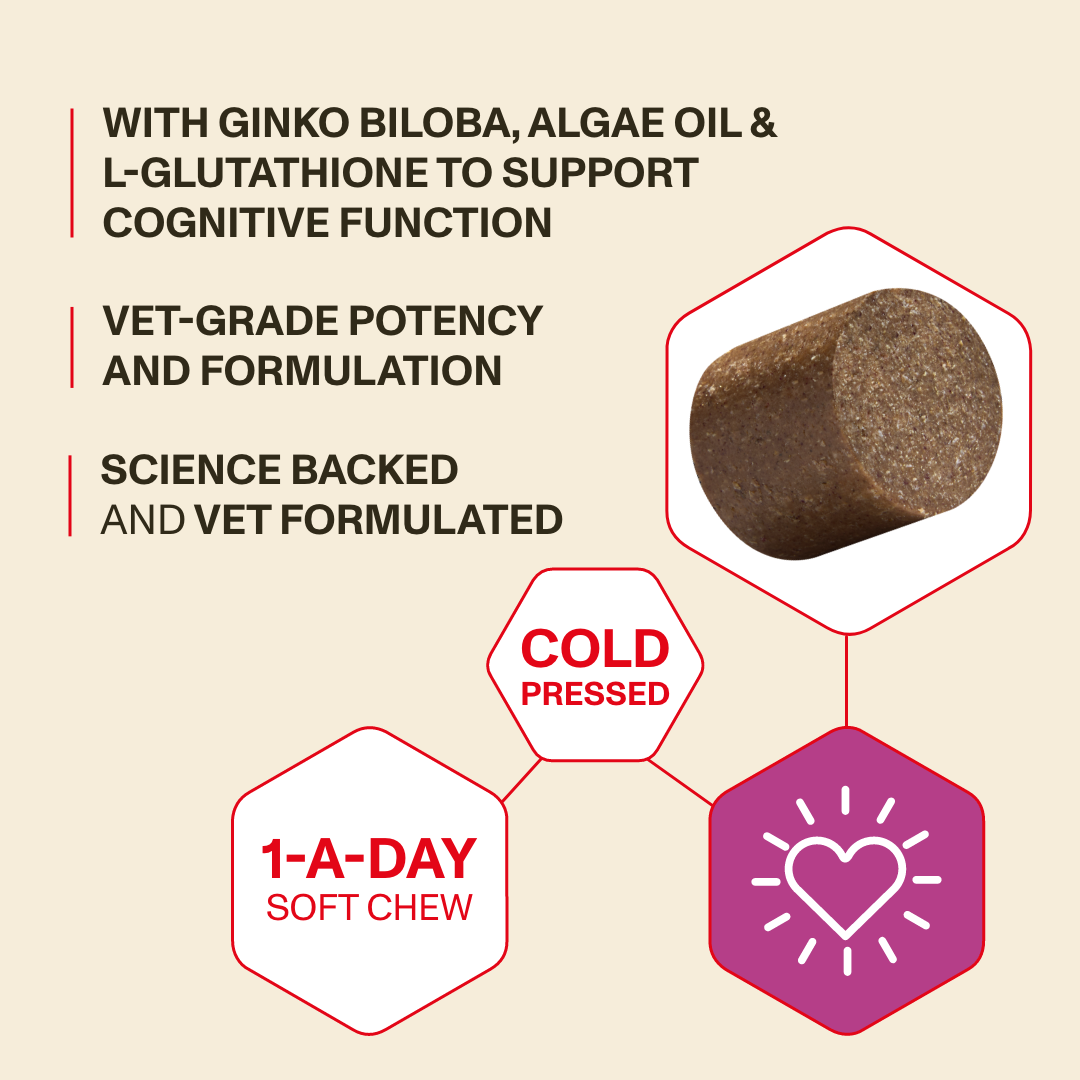 Product packaging with text and images of a soft chew, ginkgo biloba, algae oil, and L-glutathione on a beige background.
