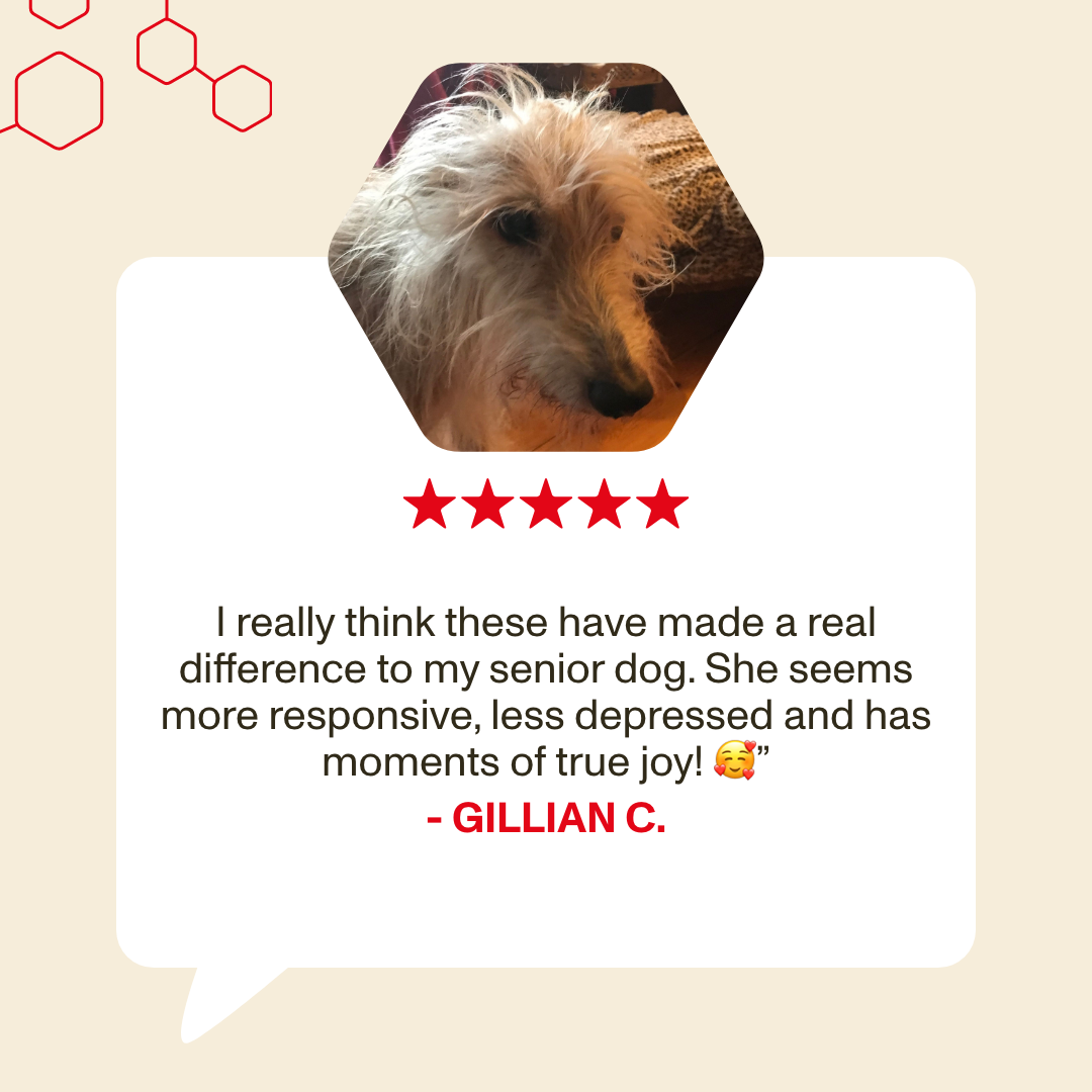 Dog with a five-star rating and review text on a beige background
