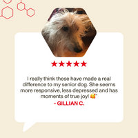 Dog with a five-star rating and review text on a beige background