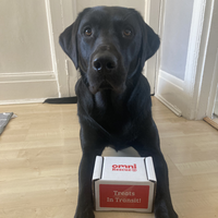 Black dog sitting on a box labeled 'omni Rescue' with 'Treats In Transit!' on a wooden floor.