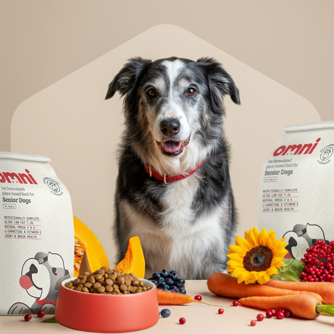Senior Dry Food