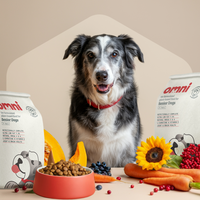 Senior Dry Food