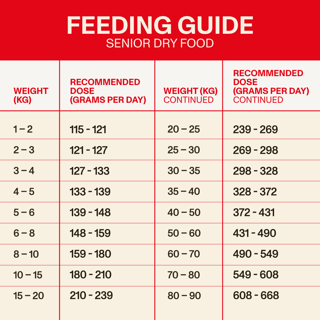 Senior Dry Food