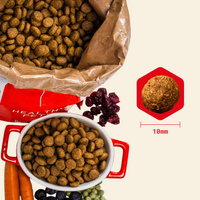 Senior Dry Food