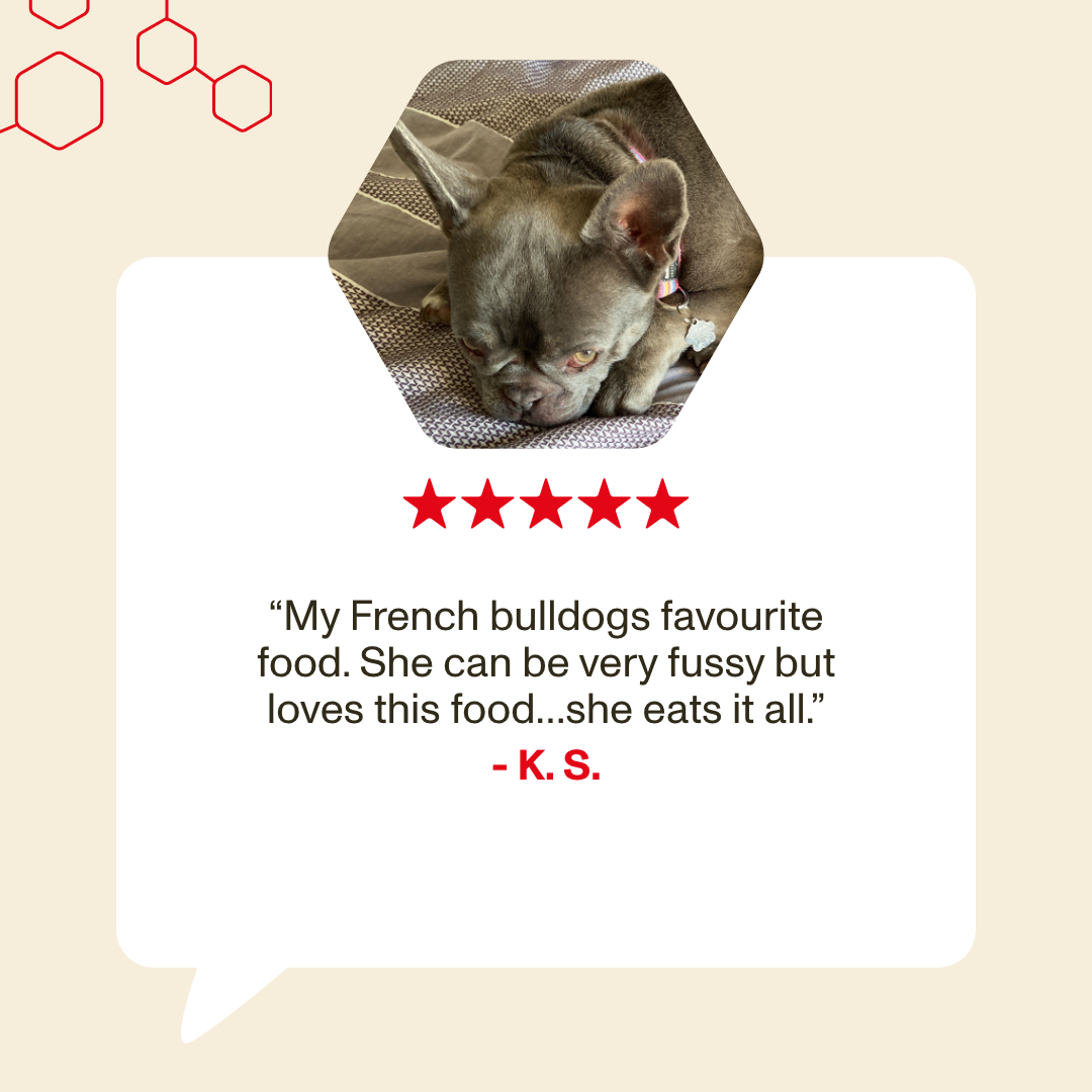 Dog with a review text and star rating on a beige background