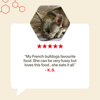 Dog with a review text and star rating on a beige background