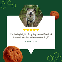Senior Dry Food