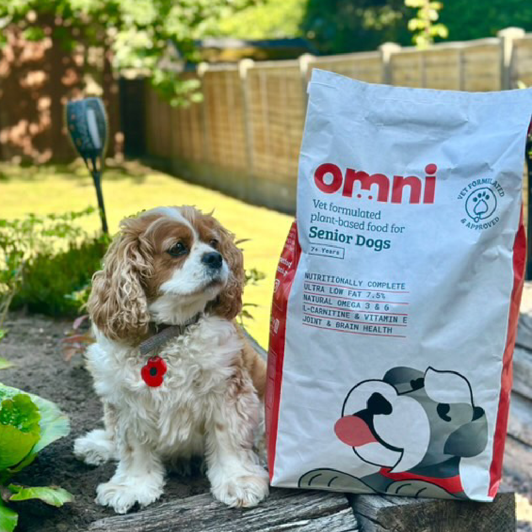 Dog with a 'omni' pet food package in an outdoor setting