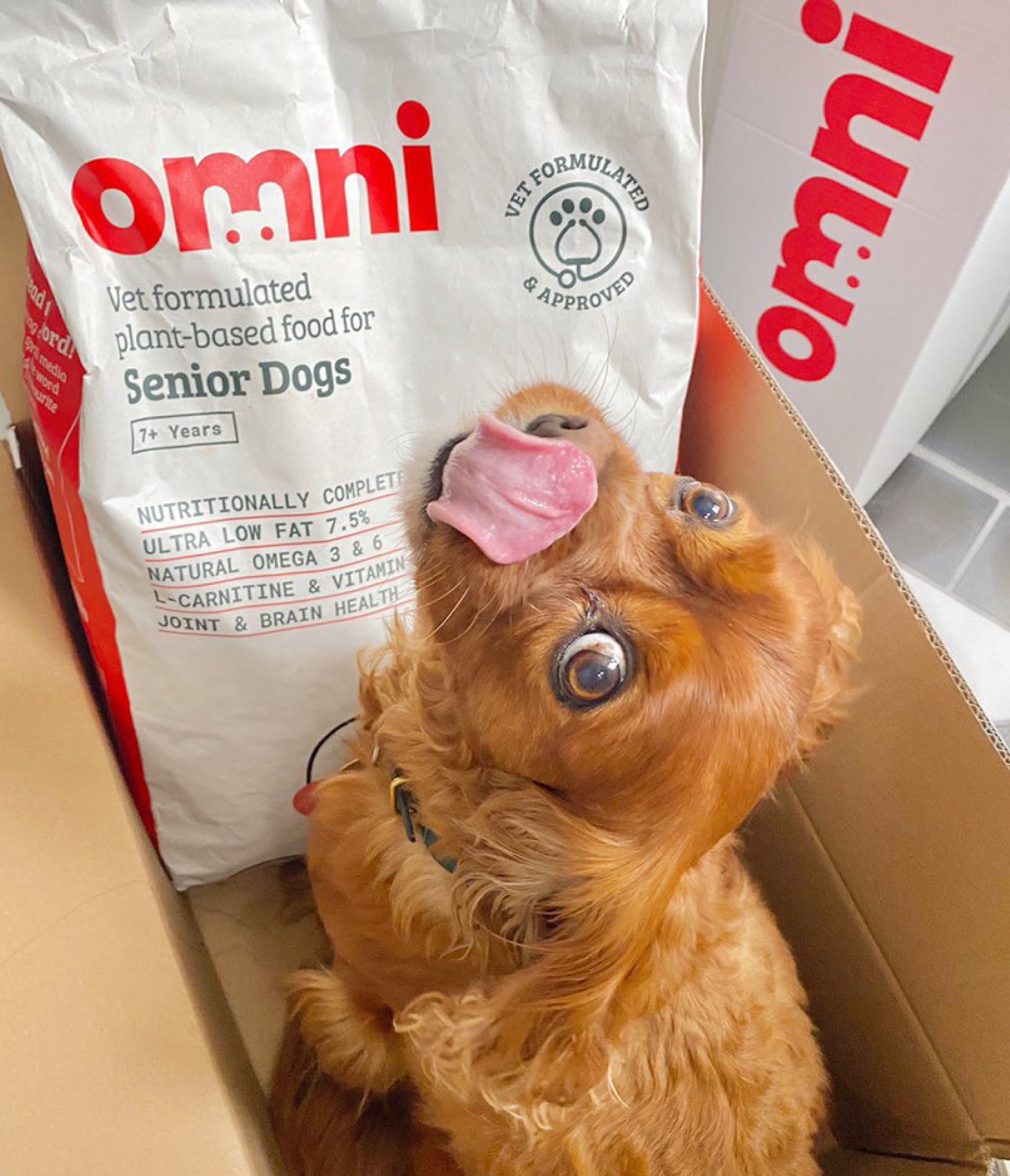 Senior Dog Food Omni pet ltd