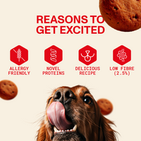 Dog eagerly licking its lips with reasons to get excited for dog food products listed.