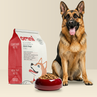 German Shepherd sitting next to an Omni pet food bag and a red bowl filled with dog food on a beige background.