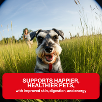 Dog in a grassy field with a red banner promoting pet health benefits