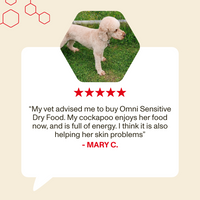 Dog standing on grass with a review about Omni Sensitive Dry Food, featuring five red stars.