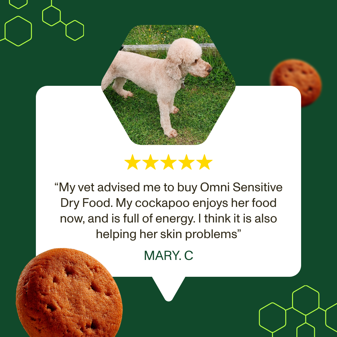 Dog standing on grass with a review about Omni Sensitive Dry Food, surrounded by cookies on a green background.