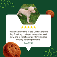 Dog standing on grass with a review about Omni Sensitive Dry Food, surrounded by cookies on a green background.