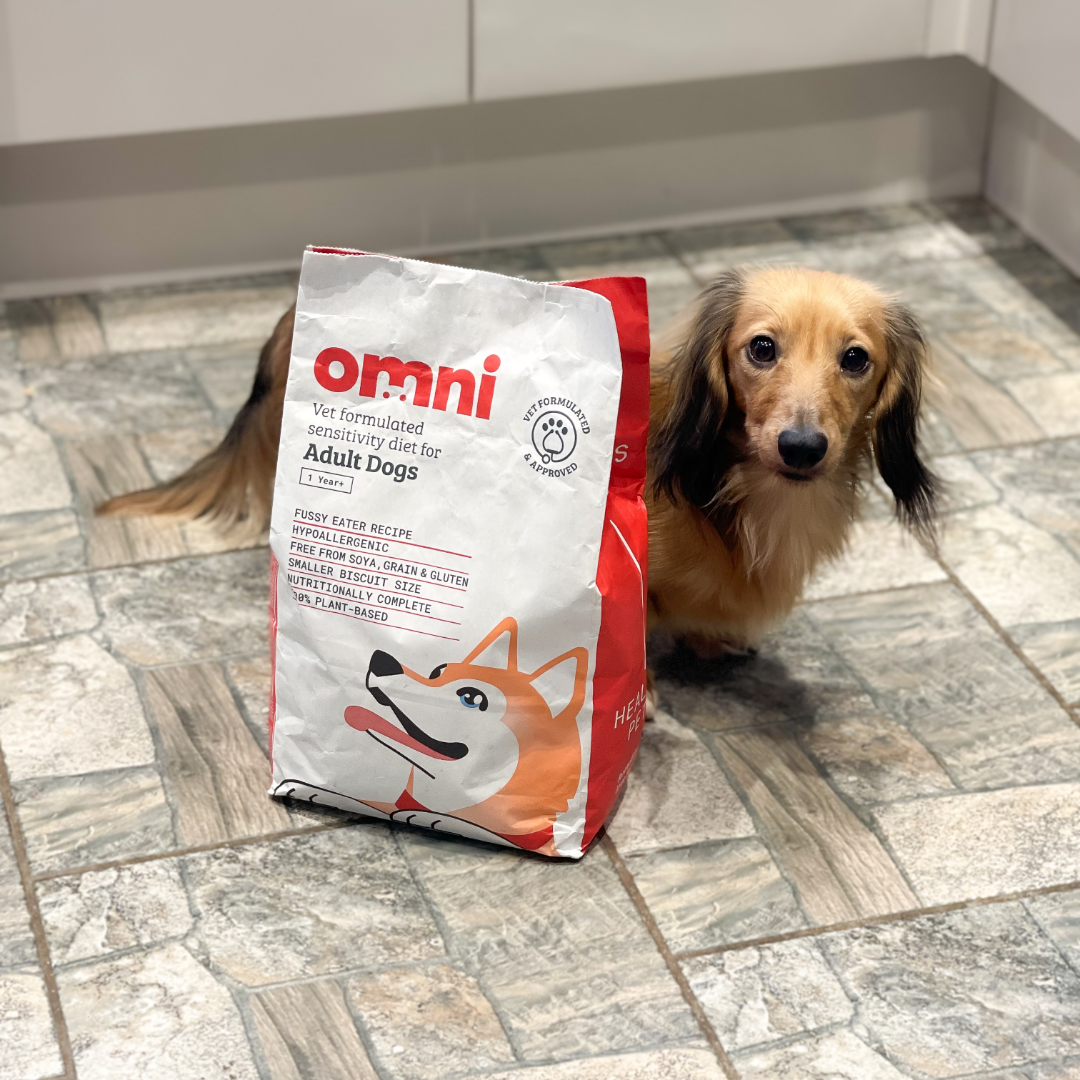 Dog sitting next to a bag of Omni dog food on a tiled floor.