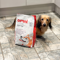 Dog sitting next to a bag of Omni dog food on a tiled floor.