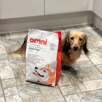Dog sitting next to a bag of Omni dog food on a tiled floor.