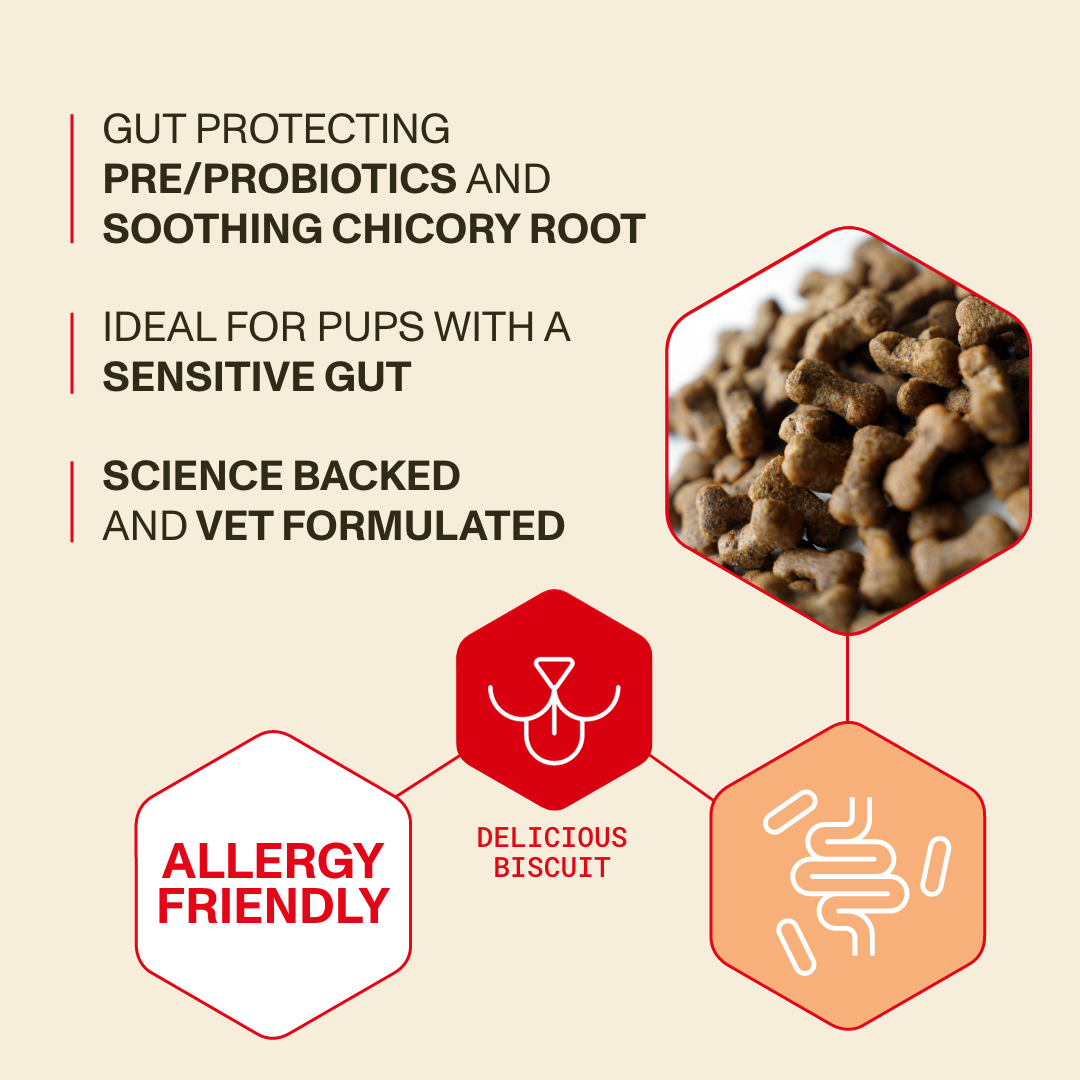 Dog food product with text highlighting benefits on a beige background