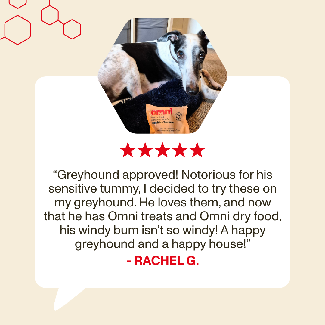 testimonial 5 stars for omni treats