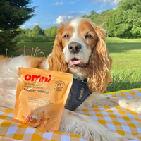 Dog lying on a checkered blanket with an Omni pet food package in a park setting