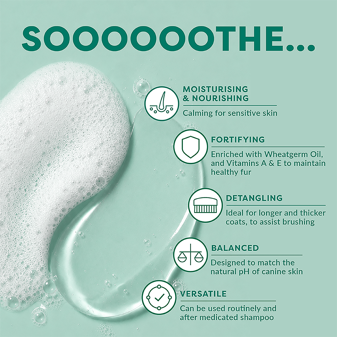 Product description with text and icons on a green background