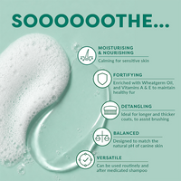 Product description with text and icons on a green background