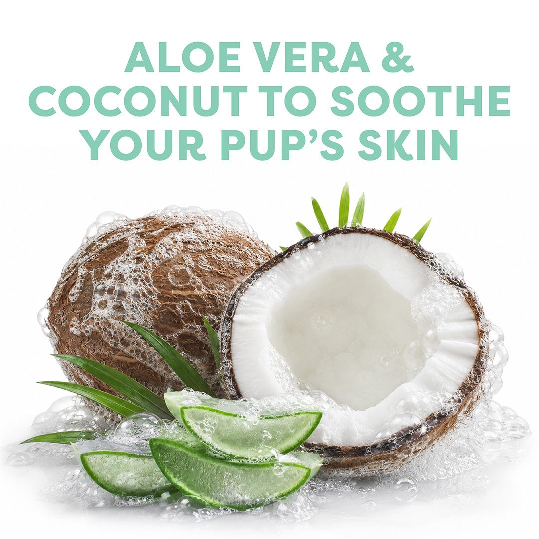 Coconut and aloe vera with text 'Aloe vera & coconut to soothe your pup's skin' on a white background