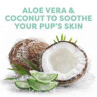 Coconut and aloe vera with text 'Aloe vera & coconut to soothe your pup's skin' on a white background