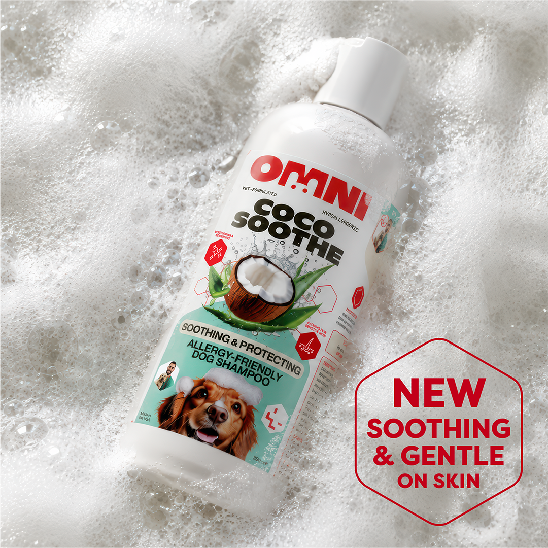 Omni Coco Soothe dog shampoo bottle with coconut illustration and text on a foamy background