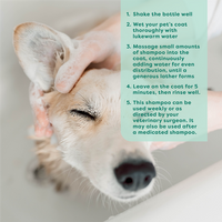 Dog being groomed with a text overlay of pet care instructions.