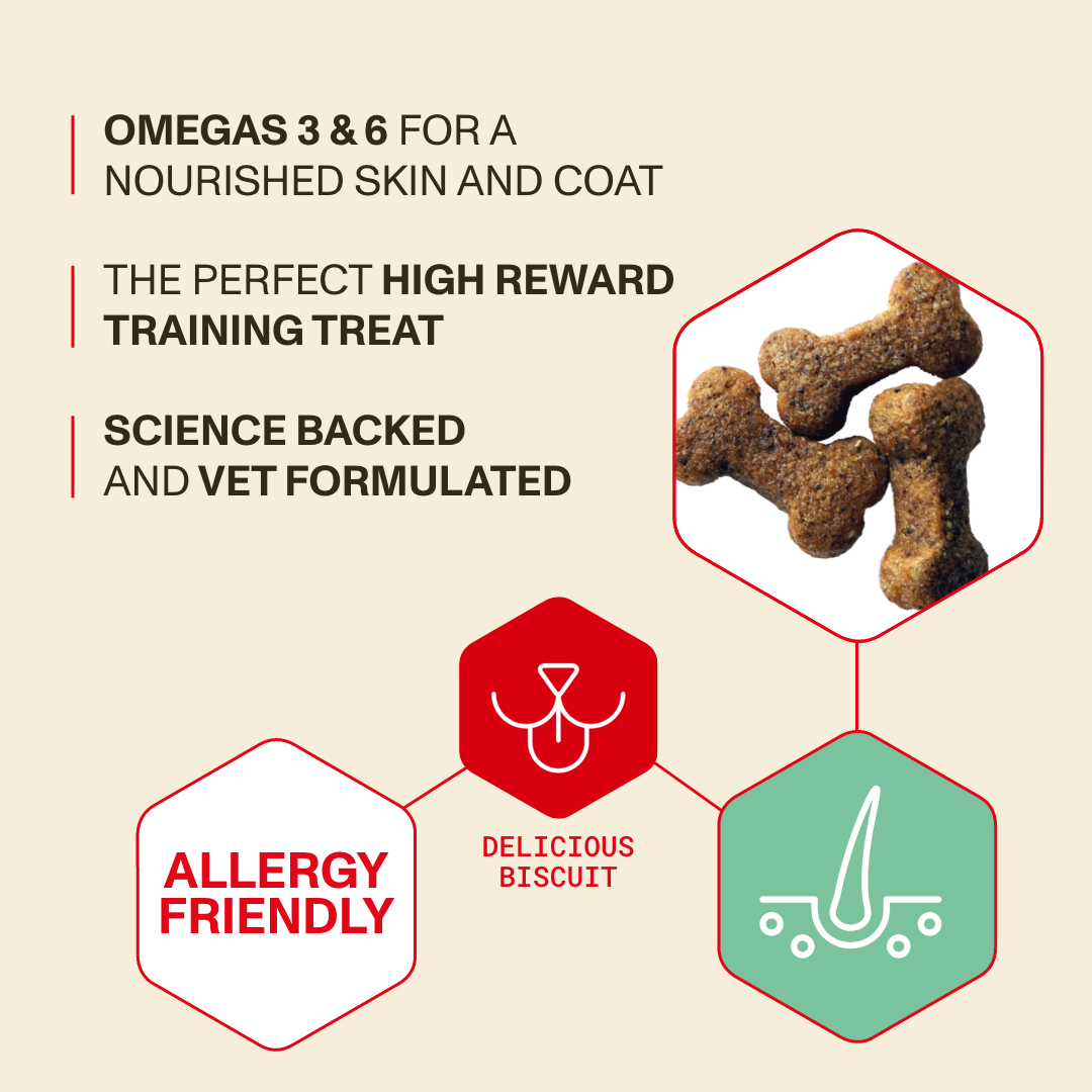 Dog treats with health benefits and features on a beige background
