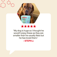 Dog with a bowl of Omni pet food, surrounded by five-star rating text and a quote from a customer.