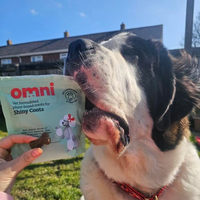 Dog eating a treat from a 'omni' package with a blue sky and houses in the background