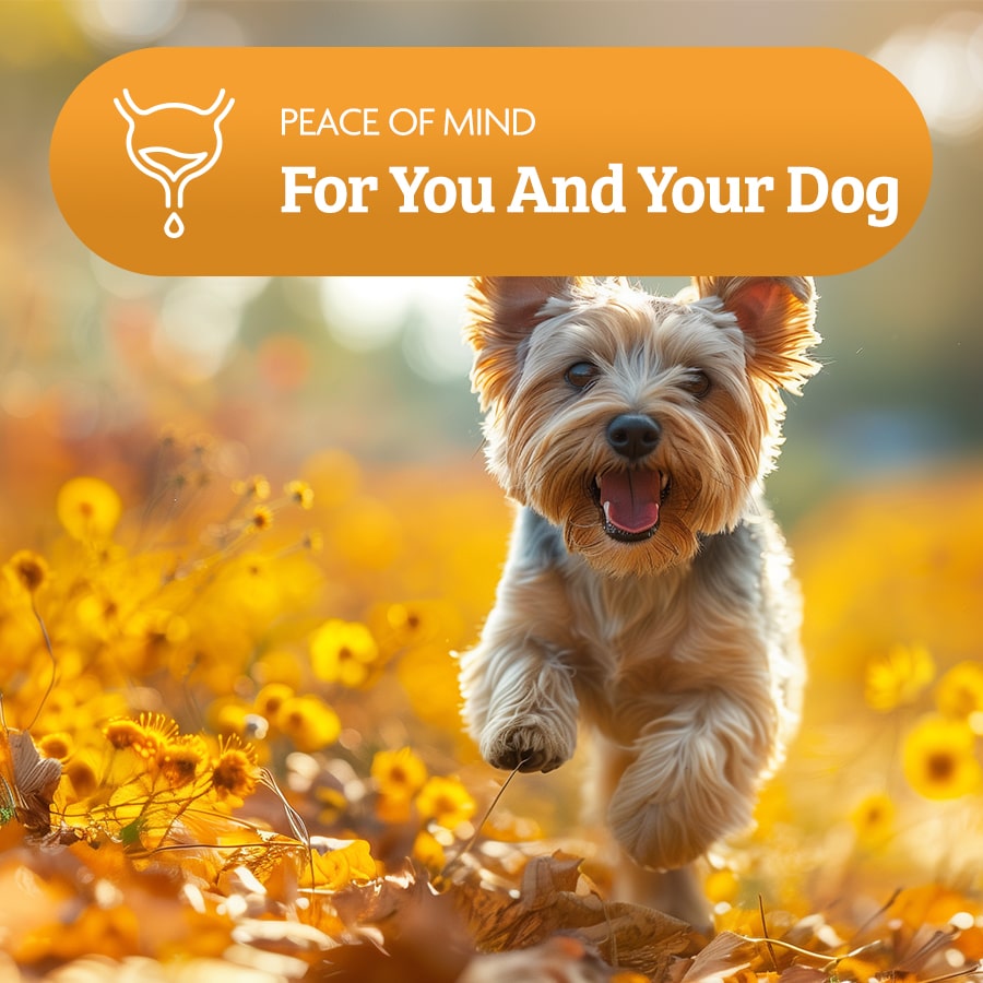 Omni Rescue - Supplement 'Bladder Care'