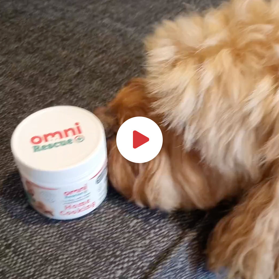 Omni Rescue - Supplément «multi-vitamines»