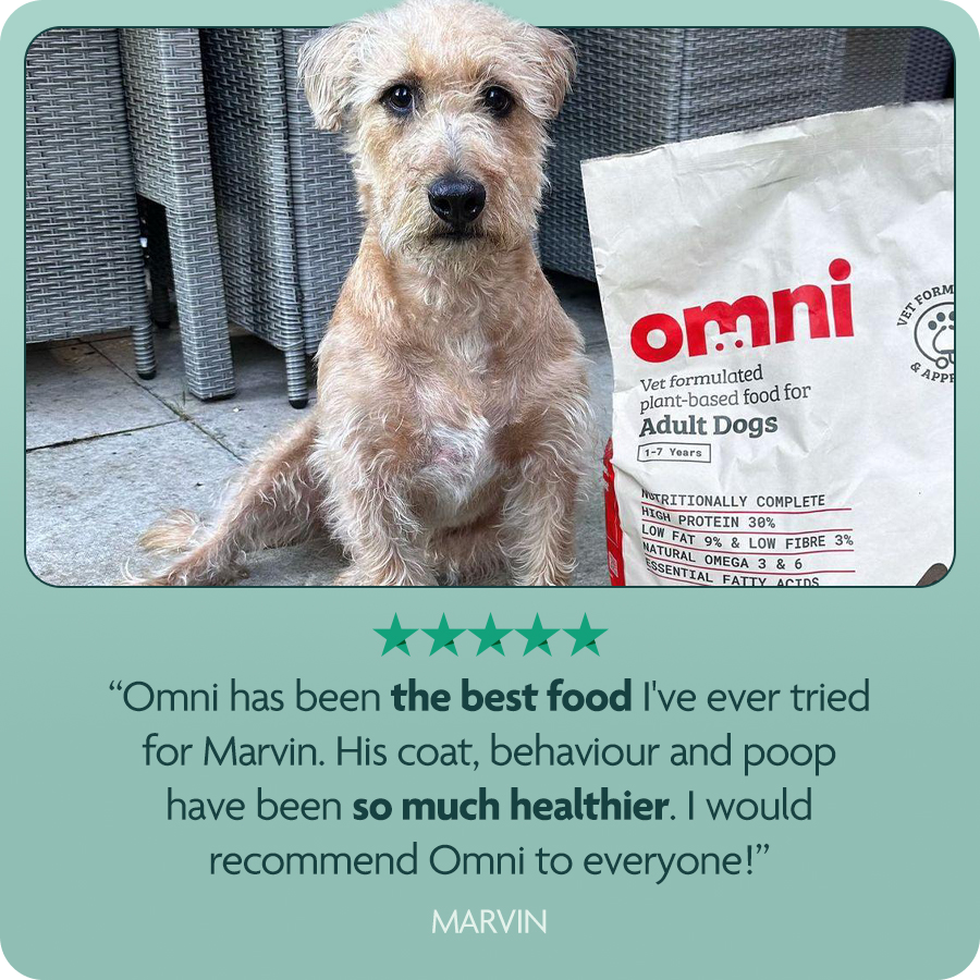 Dog High Fibre Diet Best Dry Dog Food Meat-Free Food For Adult