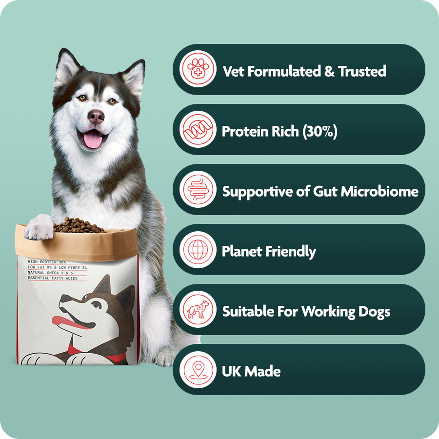 Can Dogs Fiber Rich Foods For Dogs Dietary Fiber High Fibre