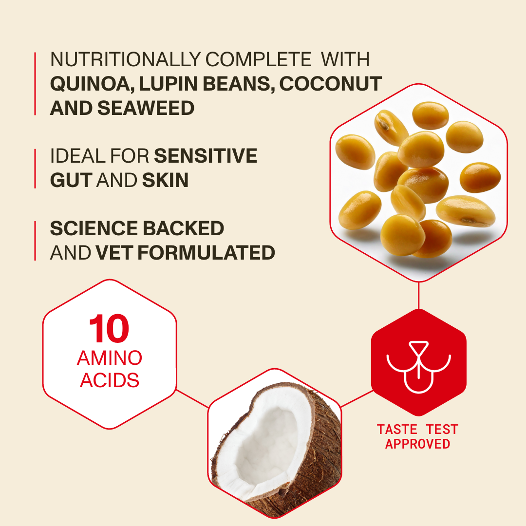 Product description with quinoa, lupin beans, coconut, and seaweed on a beige background