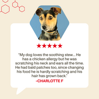 Dog with a testimonial about a soothing stew for a dog with a chicken allergy on a beige background.
