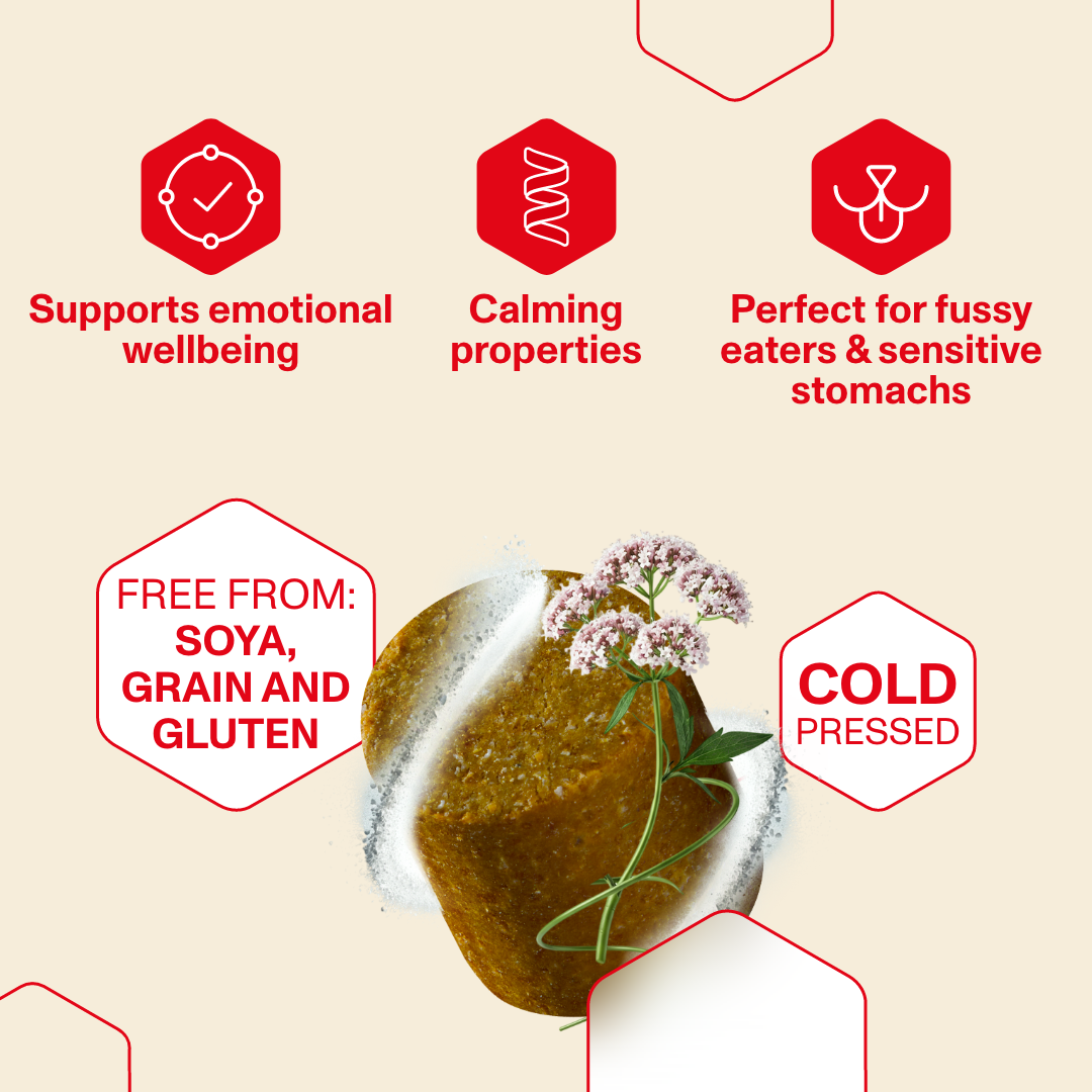 Stress & Anxiety Supplement