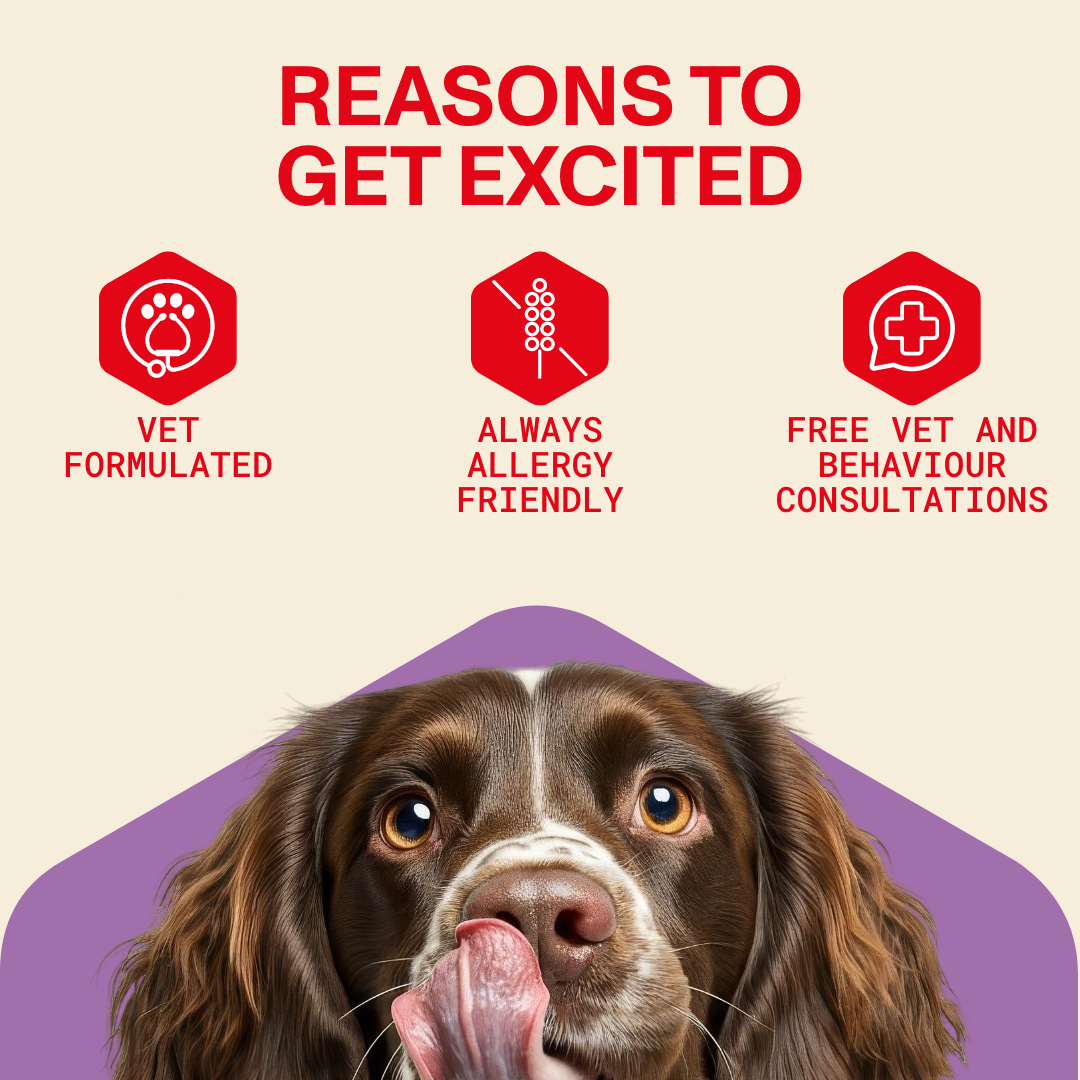 Stress & Anxiety Supplement