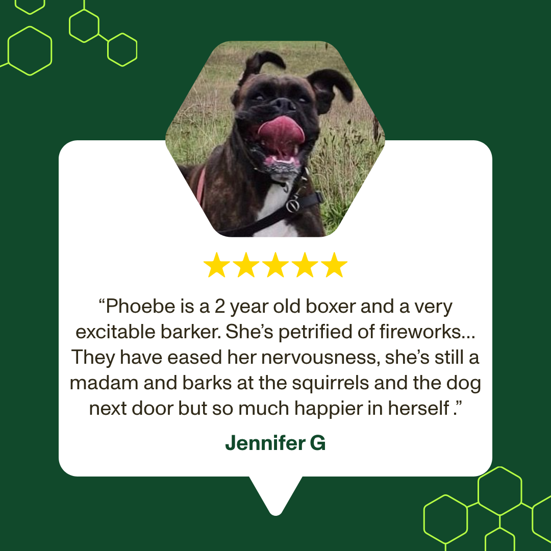 Stress & Anxiety Supplement