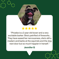 Stress & Anxiety Supplement