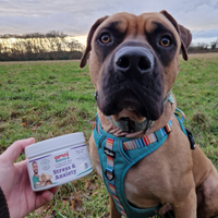 Dog wearing a colorful harness holding a container labeled 'Stress & Anxiety' in a grassy field.
