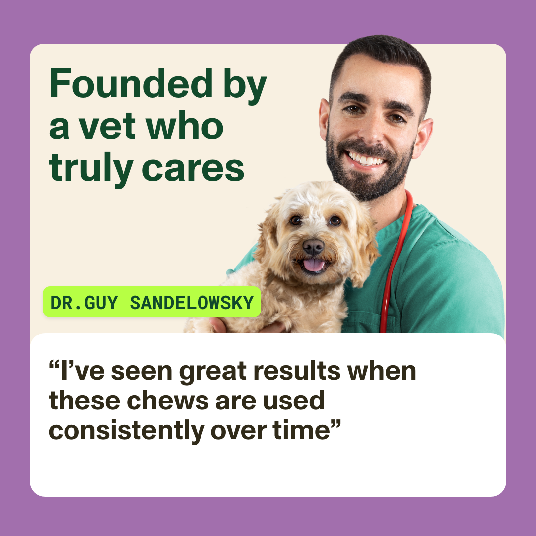 Stress & Anxiety Supplement