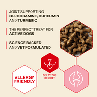 Dog treats with health benefits text on a beige background