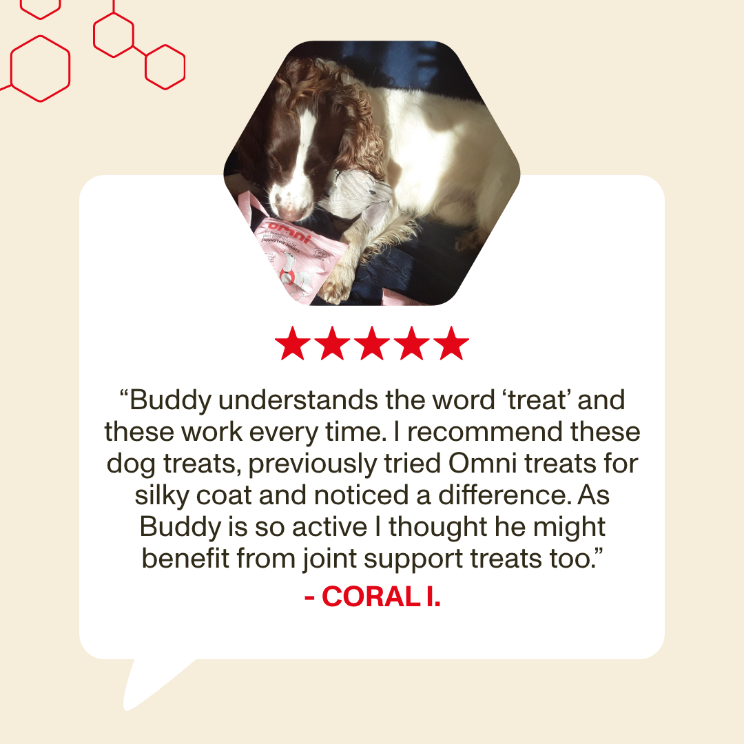 Dog with a product, review text, and five-star rating on a beige background