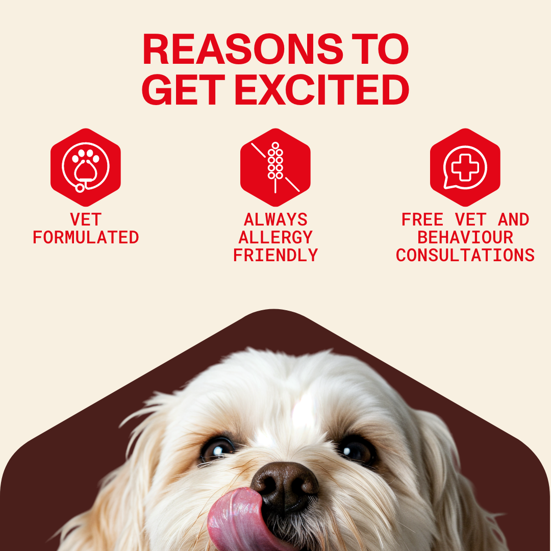 Sweet Potato & Quinoa Loaf