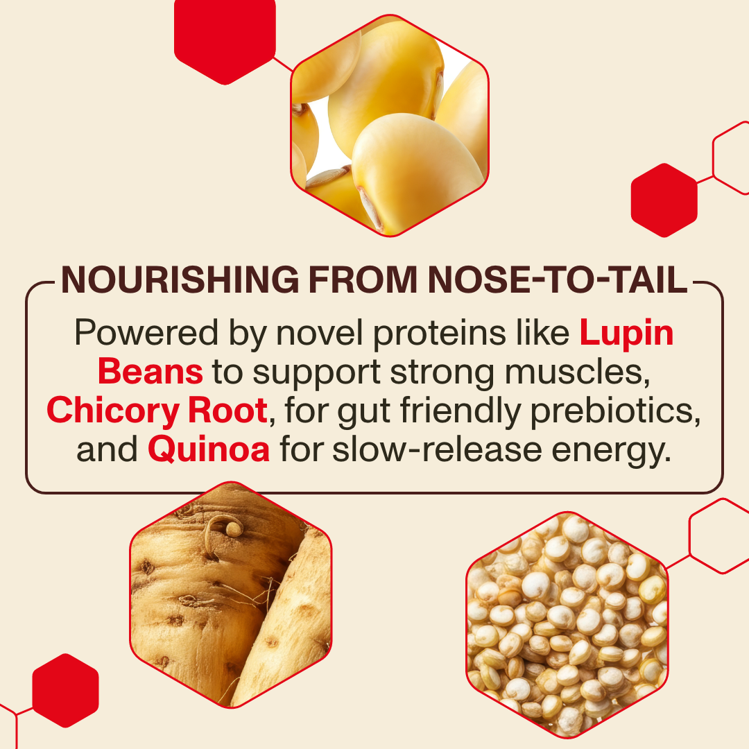 Sweet Potato & Quinoa Loaf